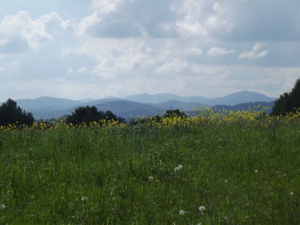 nieopodal Radziejowej w latach międzywojennych żyła Rapiszka, do dziś jej imieniem polana jest zwana. Z opowiadań mieszkańców wsi wynika, że moc cudów czyniła -