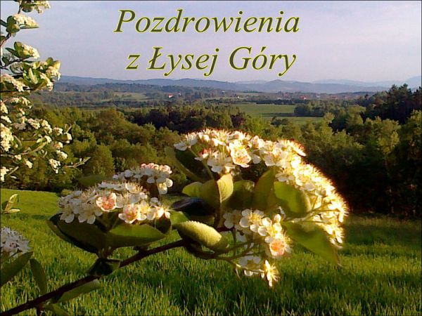 Łysa Góra malownicza wioska zaprasza na rowerową wycieczkę .