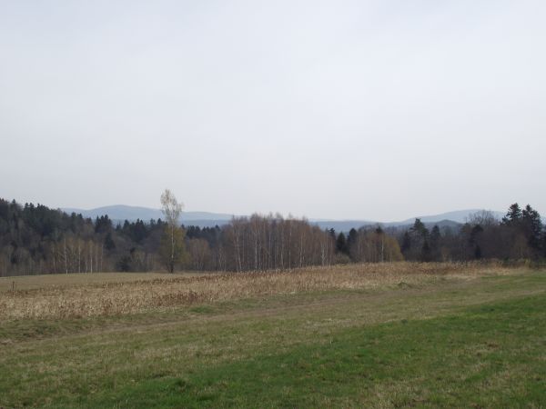 z polany - widok na czupryny wierzchowin Beskidu Leskiego.