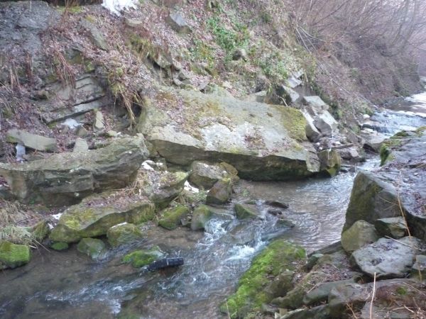 Potok Harbutówka w okolicach Madejówki.