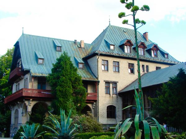 Kwitnąca agawa przed Domem żdrojowym