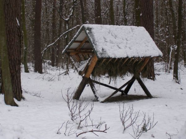 zdjecie Zalesie Górne