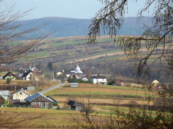 Las Gonszczawa - za nami, w dole: fragment wsi a dalej Pogórze Dynowskie. Obszar ma charakter typowo podgórski, jest silnie pofałdowany, poprzecinany głębokimi