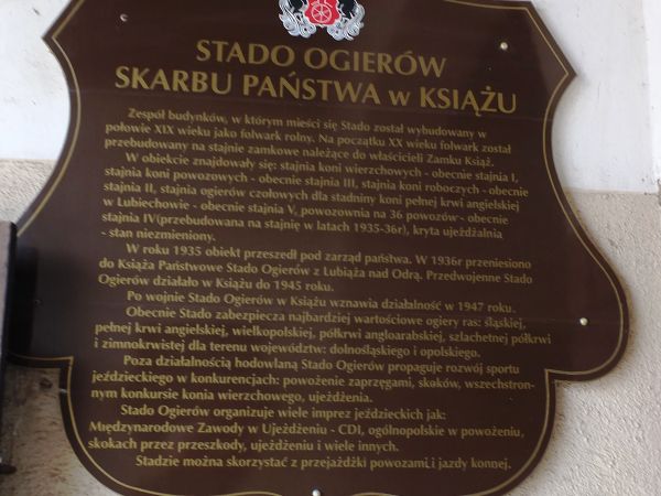 Wałbrzych  - Książ to nie tylko zamek,  obok niego mieści się znana stadnina koni