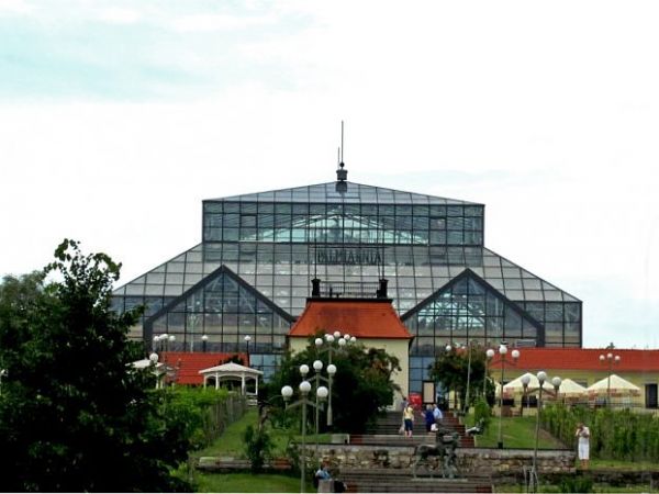 zdjecie Zielona Góra