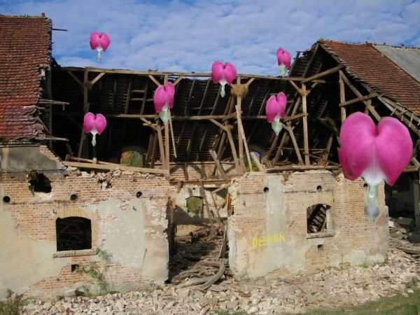 fantazja fotograficzna