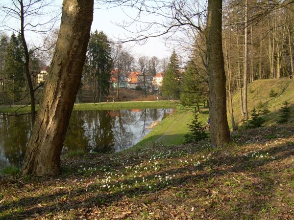 Marzec 2007   -  Okolice Sanatorium Gryf