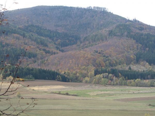 Piekna Zlota Jesien w Laskach