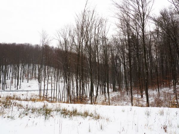 poszerzanie wiedzy i kształtowanie postawy szacunku do otaczającego świata przyrody, środowiska i wdrażanie proekologicznych haseł i zachowań - takie cele nam p
