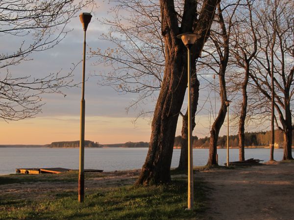 Alejka przy Złotej Rybce nad jeziorem Wdzydze