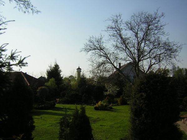 zdjecie Sulechów