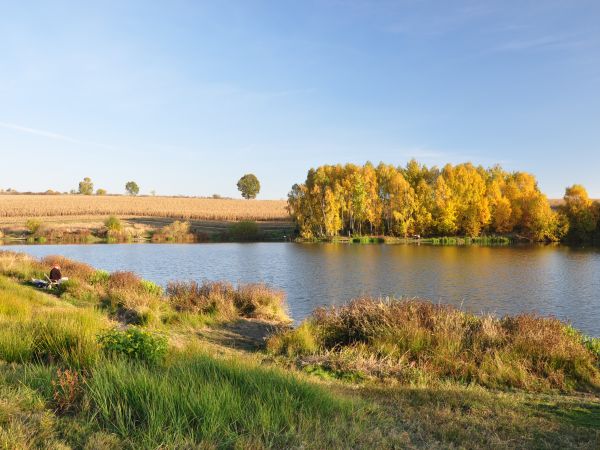 zdjecie Wodzisław Śląski