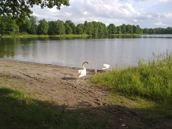 Jezioro Łąkie i jego rezydenci