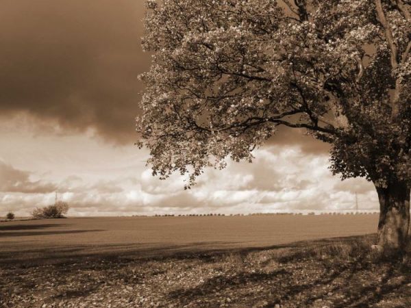 Jesienna szarość w Wieszynie 2