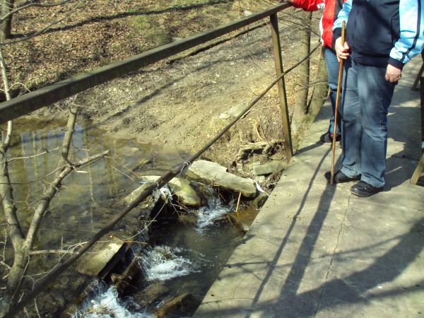kładka nad rzeką Pielnica, tzw. ława, przez koryto przeprawa w bród i resztki tamy spiętrzającej nurt rzeczny - czy na brzegu był tartak a może folusz albo młyn