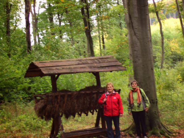 paśnik / karmisko - miejsce zadawania karmy dla zwierzyny, tu przy dukcie / drodze do m. Mrzygłód /jest galeria - zapraszam/. Tu proszę spojrzeć na rynienkę - k