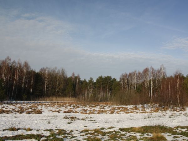 ,,Łuh koło Łapuchówki.