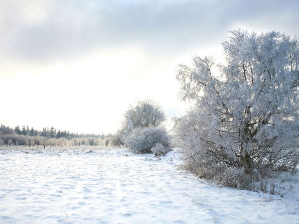 Zima w Pasterce w górach Stołowych. Malutka, malownicza wioska u samego podnóża Szczelińca Wielkiego jest unikalną już oazą ciszy i spokoju zadziwiając przy tym