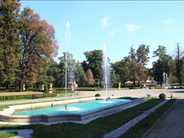 Zespół pałacowo - parkowy Czartoryskich .