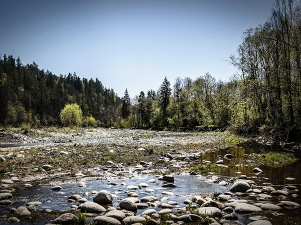 Uroczysko nad rzeką Białka ...