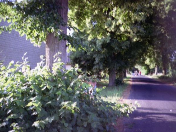 zdjecie Pawłowo Skockie