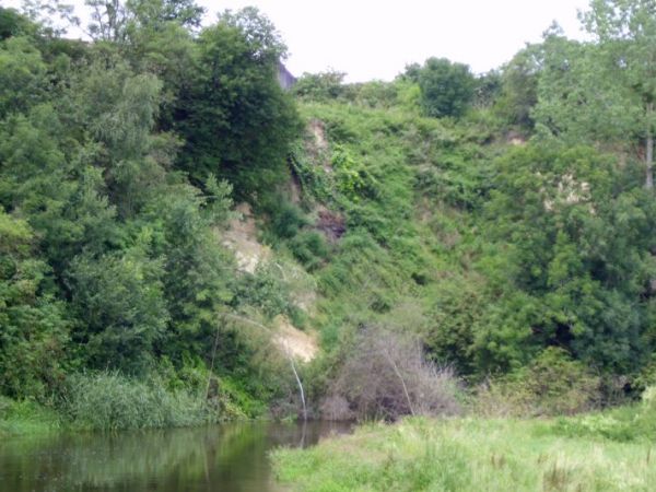 Wysoka skarpa w Latyczowie nieopodal Krasnegostawu