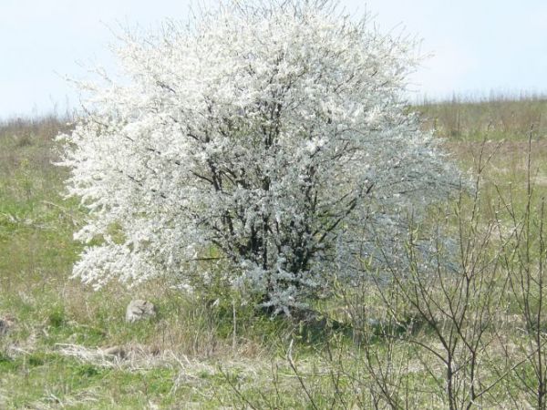 Ach i zeby nikt sie nie ważył kopiowac!!!