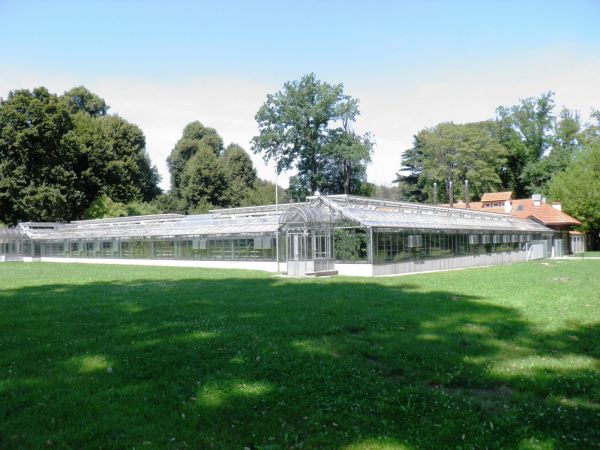 Zamek - Muzeum w Łańcucie. Storczykarnia