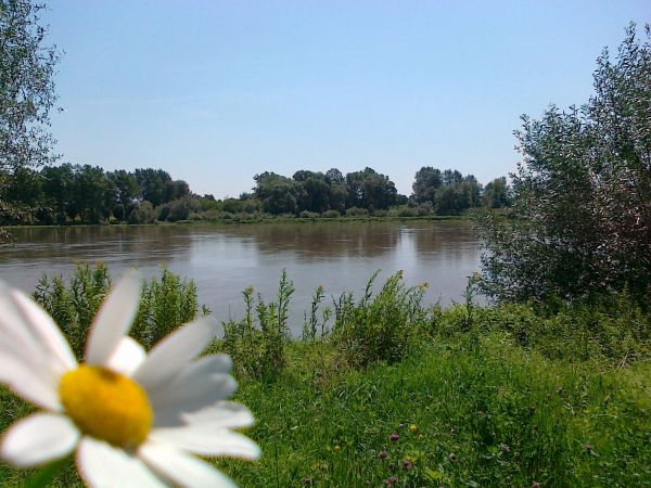 Słoneczne inspiracje z nad Wisły .