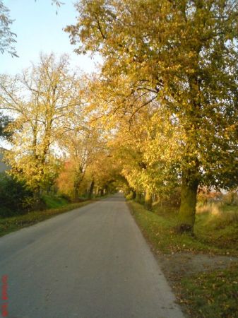 Drga przebiegająca przez miejscowość.