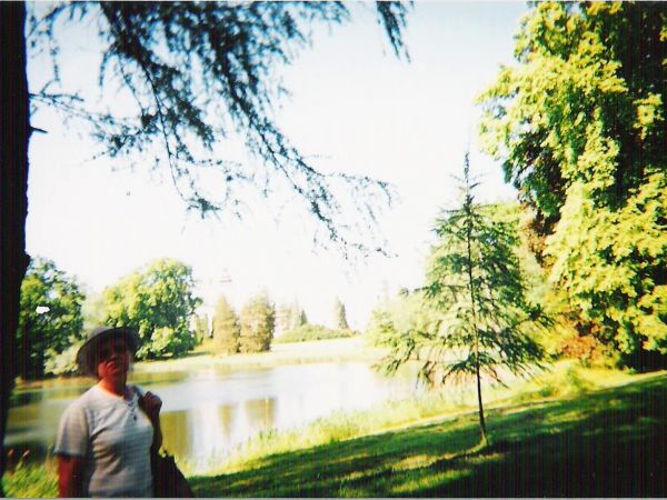 przy stawach - piękną oprawę dla zamku stanowi wyjątkowej urody zabytkowy park o pow. 9 ha, rośnie tu 188 gatunków drzew i krzewów, w tym wiele obcego pochodzen