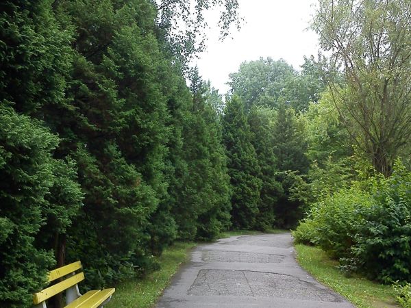 Sosnowiec-Kazimierz Górniczy. Park Leśna.