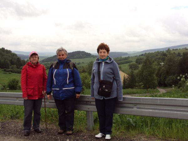 widok z pobocza serpentyn : w oddali pośrodku g. Wierch - 529m npm a po prawej pasmo Pogórza Bukowskiego już w Beskidzie Niskim, dolinę przecina rzeka Osława -