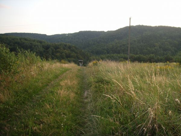 Urokliwa Ruda Kameralna