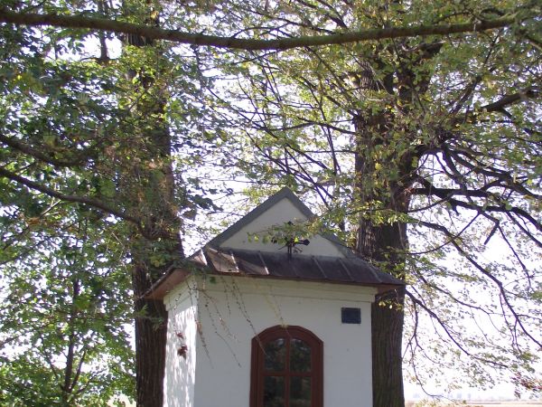 na cmentarzu cholerycznym : kaplica pw. św. Dawida. Z naszych wędrówek znamy jeszcze - na niektórych byliśmy - takie cmentarze we wsiach a raczej ich przysiółka