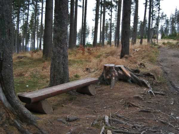 W DRODZE NA KLIMCZOK MOZNA ODPOCZĄĆ