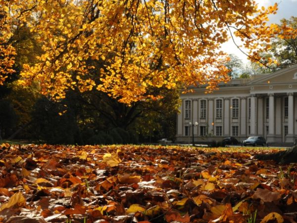 Wolsztyn park w jesiennej szacie.