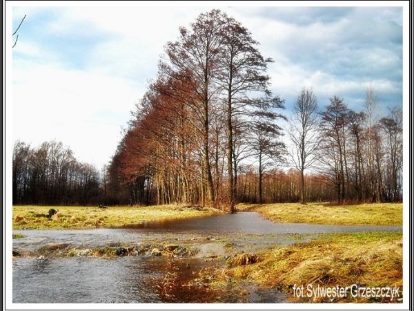 Krajobraz po roztopie