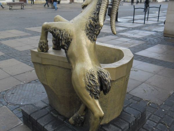 Inne spojrzenie na Koziołka.