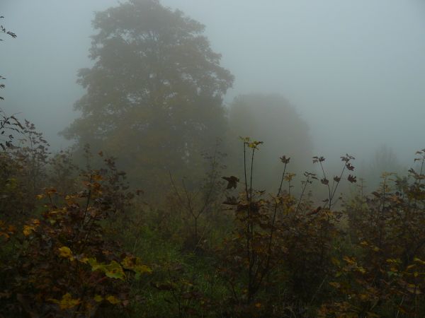 Nawet w rejon Krempnej przychodzi kiedyś jesień...