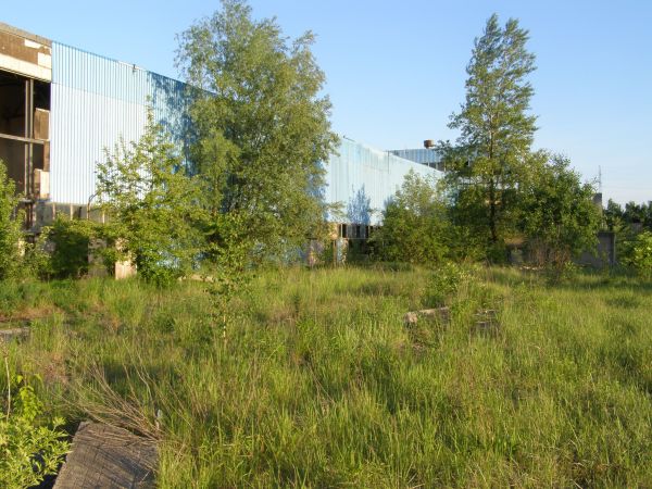 Zdewastowana fabryka domów ul. Północnej   fot.  20