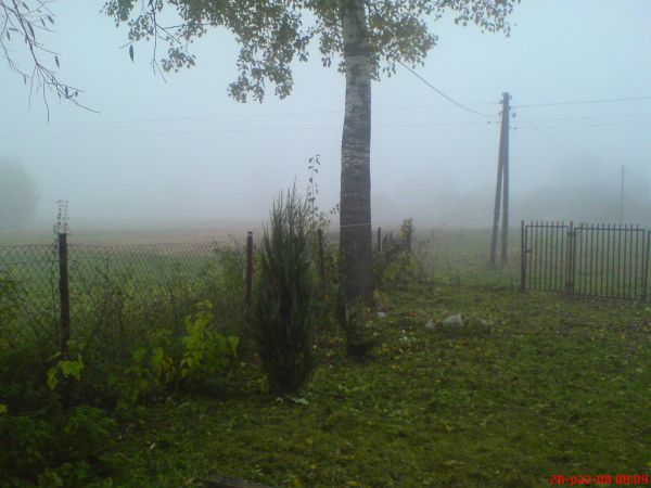 Mgła
