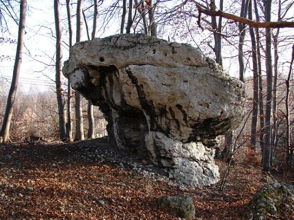 Siedlec ostaniec skalny Purchawka