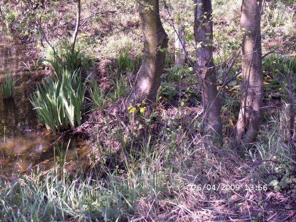 Sa tez takie miejsca....