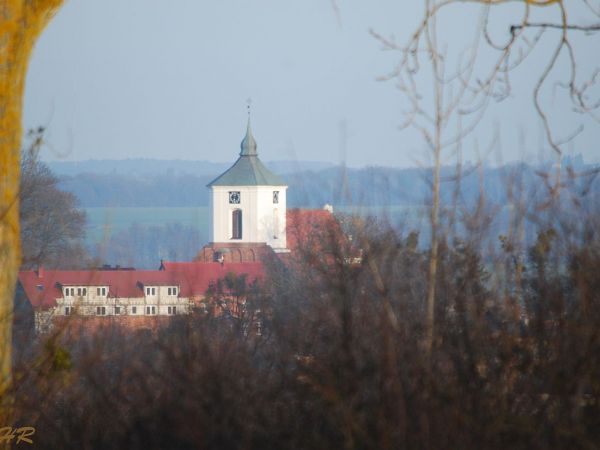 Dzierzgoń - kościół św. Trójcy. (styczeń 2014 rok)