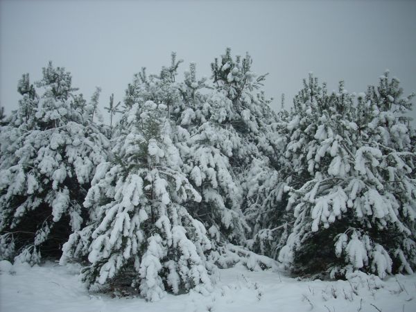 zdjecie Piłatowszczyzna