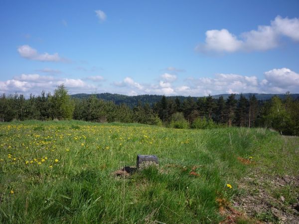 Szczyt Krowiej Góry.Najwyższy szczyt w Harbutowicach.