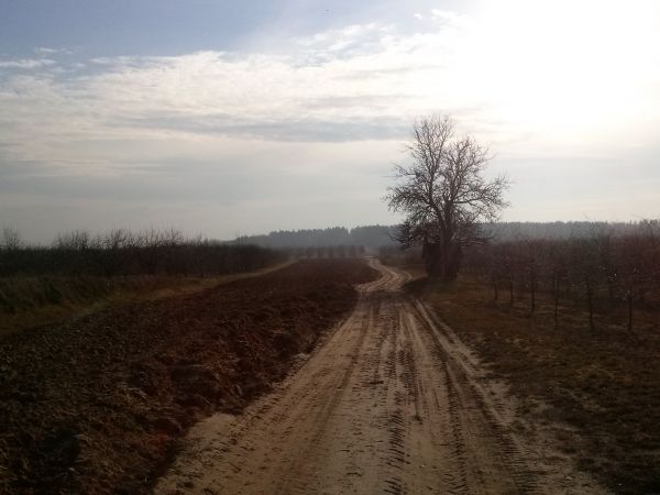 Chobrzany, widok na Choiny