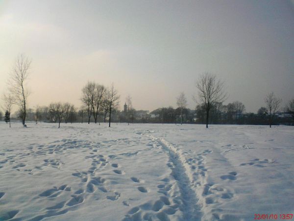 W kierunku Bolesławic od wiaduktu