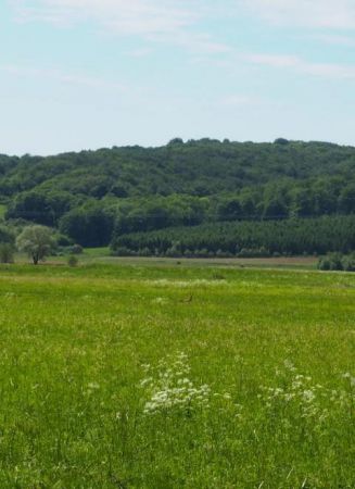 pośród natury - i nie chodzi o to by góry były "górzyste" ale pełne swoistych klimatów i uroku a taki jest Beskid Niski - tu sarenka nas wita i pozuje, zaś dla